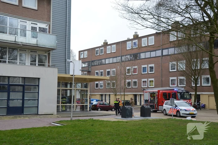 Brand in flatwoning
