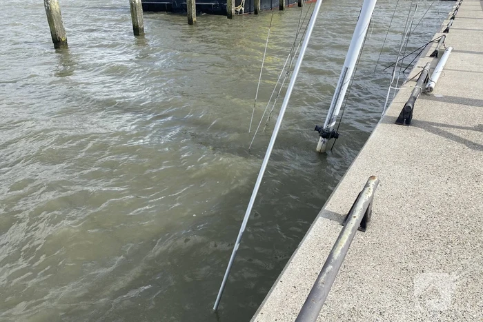 Zeilboot gezonken in Oostvaardersdiep