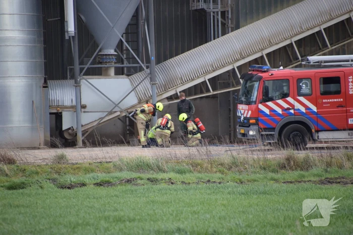 brand emmabaan koewacht