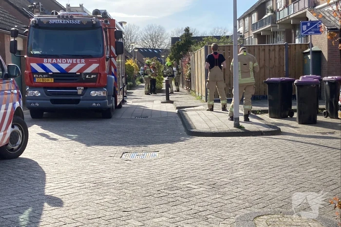 milieu joost sasboutstraat spijkenisse