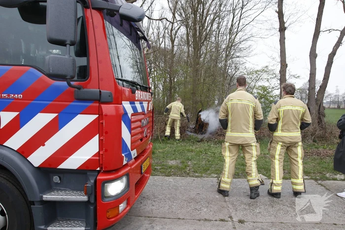 Brandweer blust brandende boom