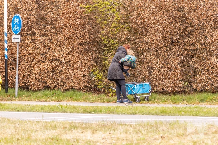 Kind gewond bij aanrijding oversteekplaats Kasteel Groeneveld