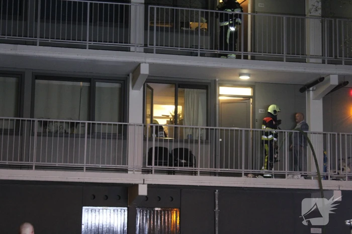 brand de bird leeuwarden