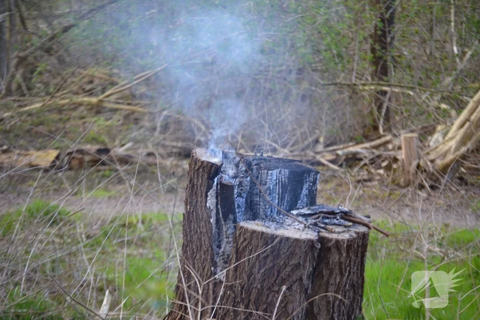 brand daan huizingapad assen