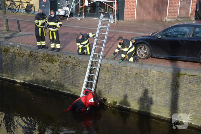 Brandweer doet reddingsactie voor kat in riool