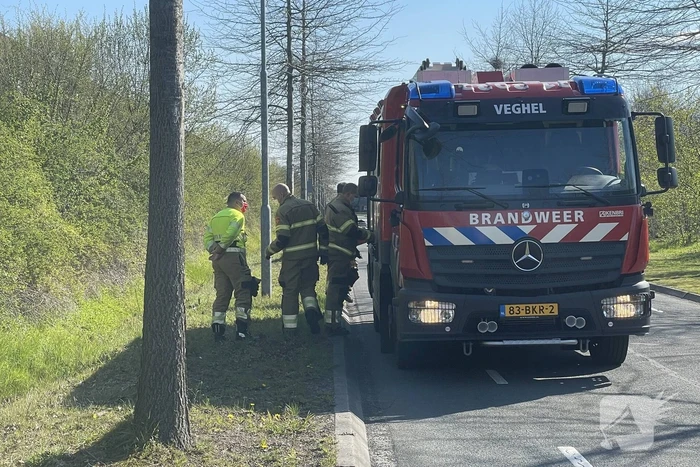 nieuws het ven veghel
