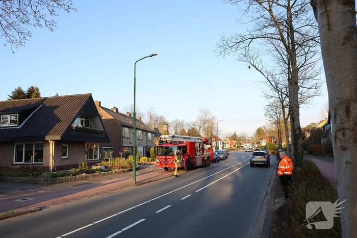 Brandweer en dierenambulance doen poging om vastzittende vogel te bevrijden