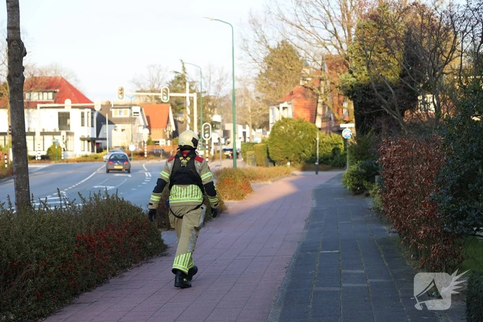 Brandweer en dierenambulance doen poging om vastzittende vogel te bevrijden