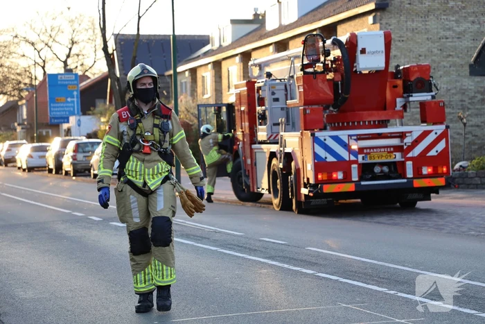 Brandweer en dierenambulance doen poging om vastzittende vogel te bevrijden