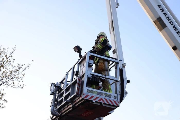Brandweer en dierenambulance doen poging om vastzittende vogel te bevrijden