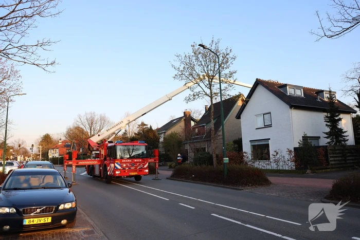 Brandweer en dierenambulance doen poging om vastzittende vogel te bevrijden