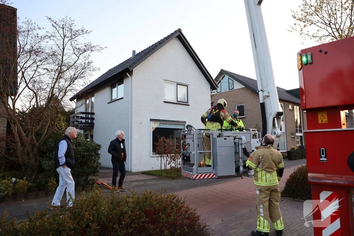 Brandweer en dierenambulance doen poging om vastzittende vogel te bevrijden
