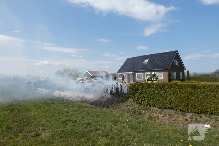 Coniferenhaag in brand