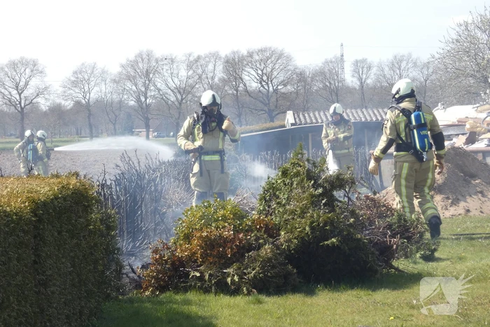 Coniferenhaag in brand