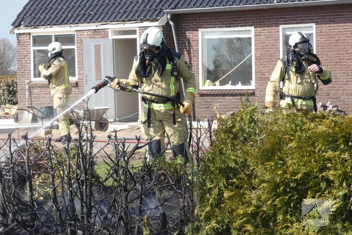 Coniferenhaag in brand