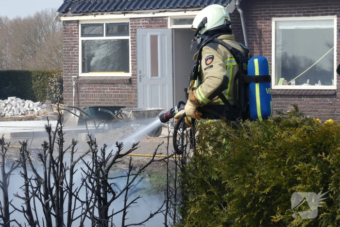 Coniferenhaag in brand
