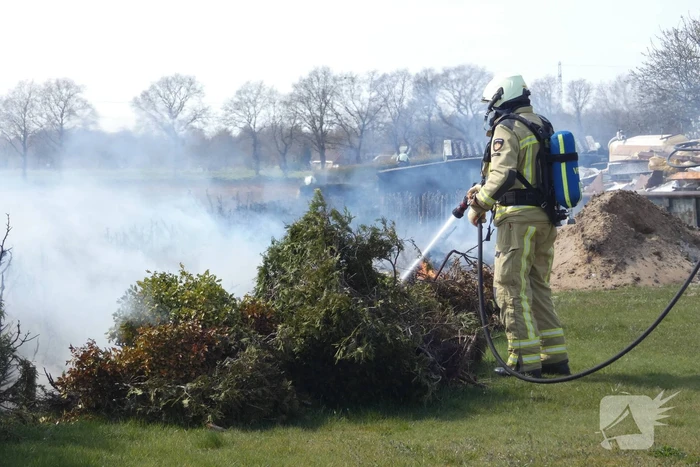 Coniferenhaag in brand