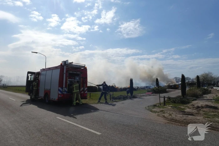 Coniferenhaag in brand