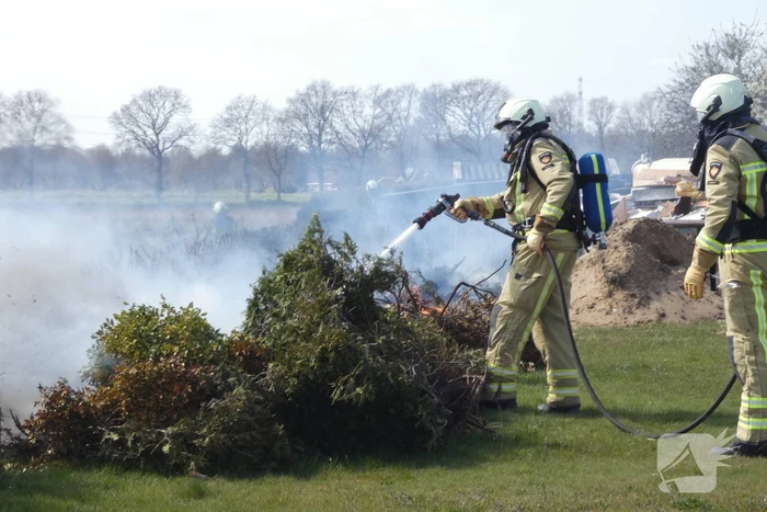 Coniferenhaag in brand