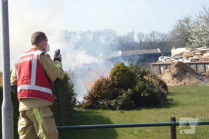 Coniferenhaag in brand