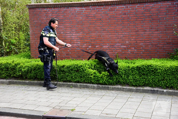 Dader steekincident meldt zich bij gemeentehuis