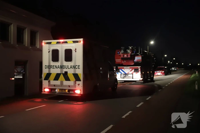 Grote uitslaande brand in duiventil