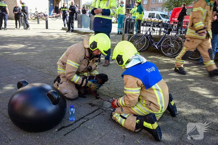 Meerdere bewoners door brand opgesloten in woningen