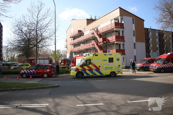 brand eisingahof dordrecht