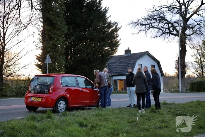 Kopstaart botsing door overstekend eendje