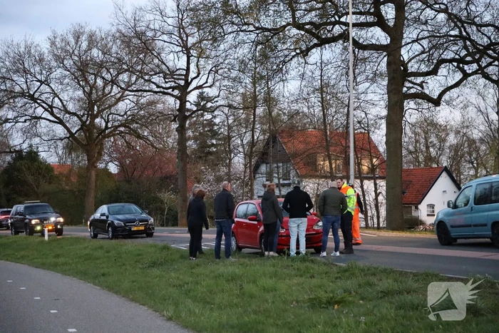 Kopstaart botsing door overstekend eendje