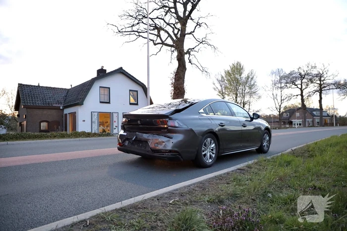 Kopstaart botsing door overstekend eendje