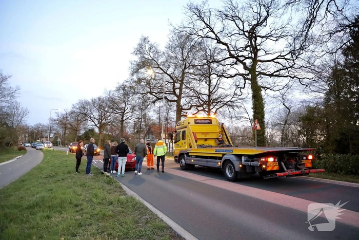 Kopstaart botsing door overstekend eendje