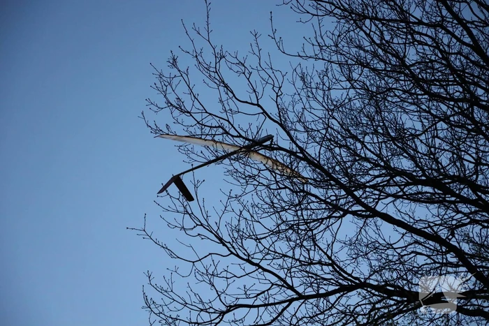 Brandweer haalt vastzittend modelvliegtuig uit boom