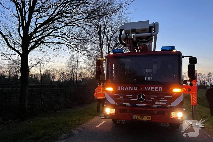 Brandweer haalt vastzittend modelvliegtuig uit boom