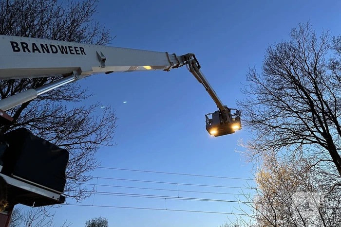 Brandweer haalt vastzittend modelvliegtuig uit boom