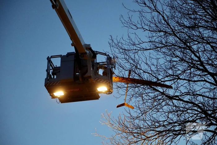Brandweer haalt vastzittend modelvliegtuig uit boom