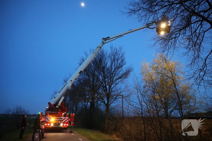 Brandweer haalt vastzittend modelvliegtuig uit boom