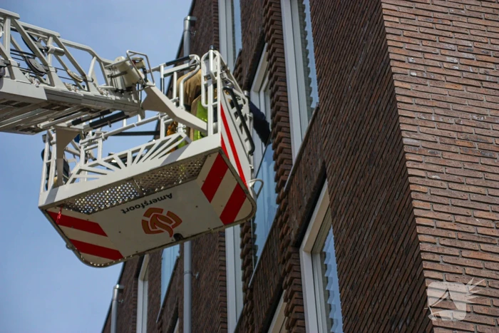Duiven vast achter glasplaat