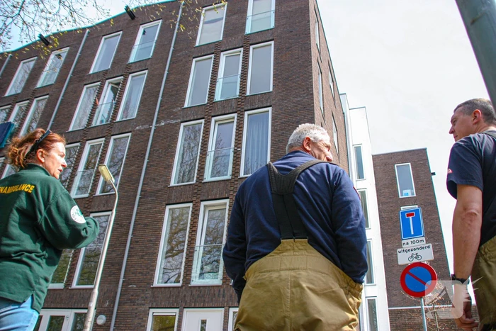 Duiven vast achter glasplaat