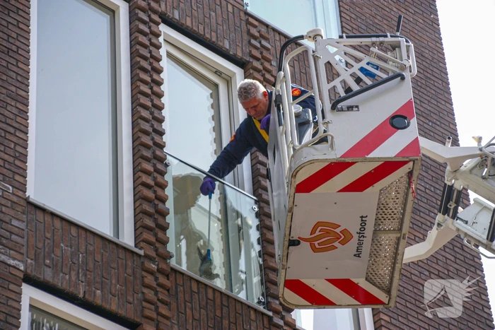 Duiven vast achter glasplaat
