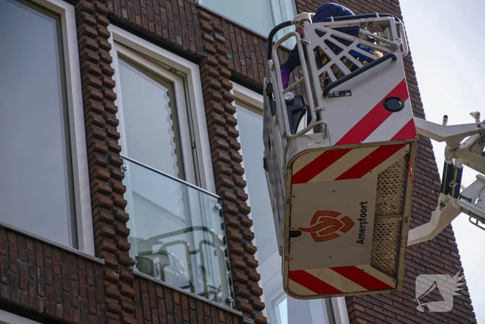 Duiven vast achter glasplaat