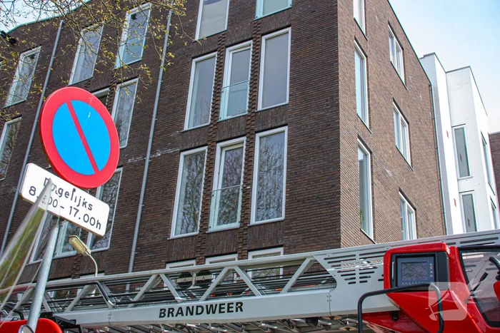 Duiven vast achter glasplaat