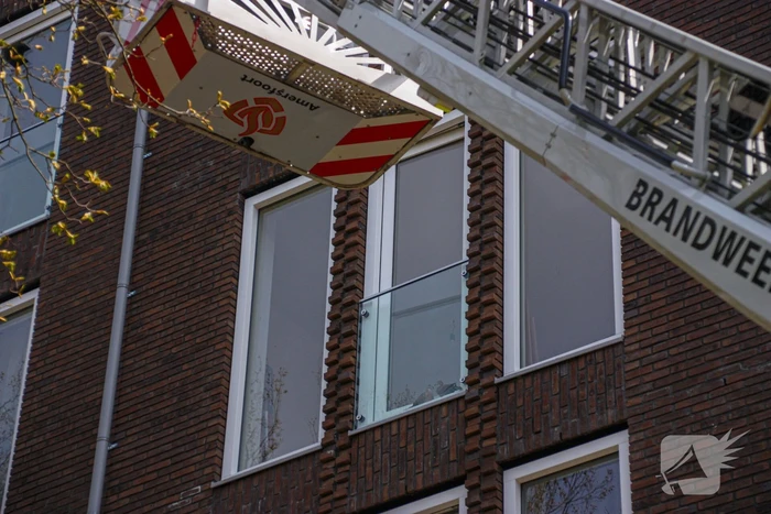 Duiven vast achter glasplaat