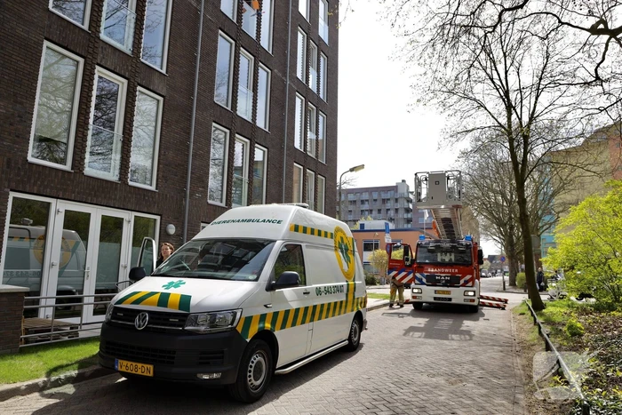 Duiven vast achter glasplaat