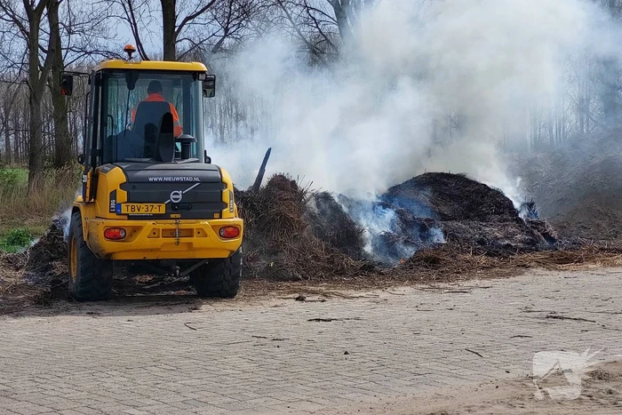 Grote rookwolken door brand in berg riet