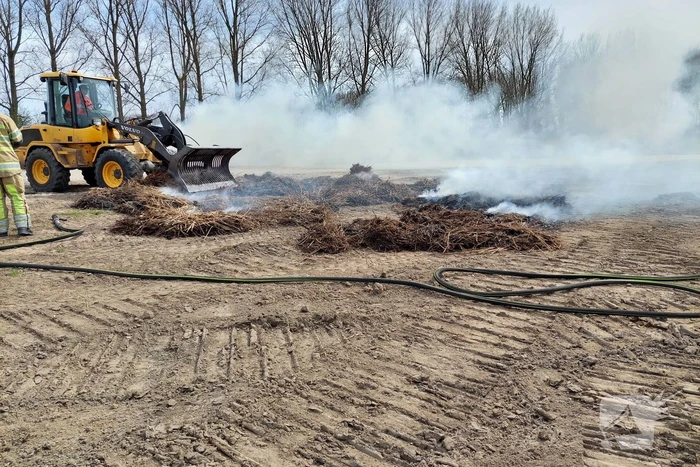 Grote rookwolken door brand in berg riet