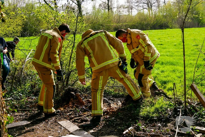 Jongeren veroorzaken brand en vluchten