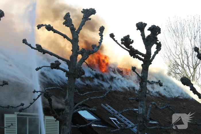 Veel rookontwikkeling door brand in rietendak van woonboederij