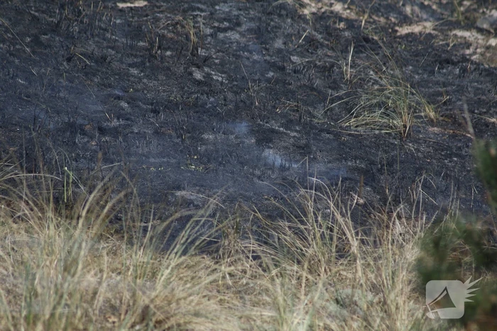 Stuk natuurgebied getroffen door brand