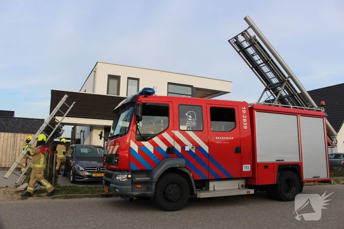 Brandweer bevrijdt duif tussen raam en glasplaat